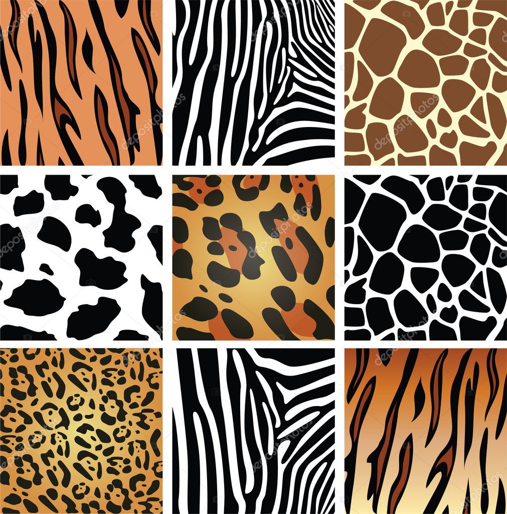 Vector animal skin textures — Stock Vector © dmstudio #9214213