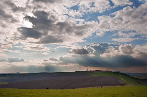 Потрясающая сцена по ухоженной сельской местности с бобами — стоковое фото