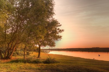 Golden sunset over calm lake with swan clipart