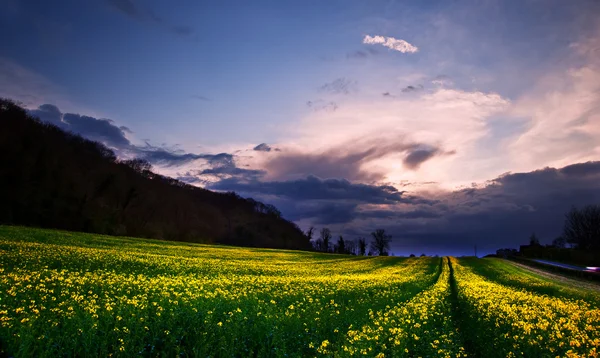 Cielo tempestoso su un paesaggio di campagna luminoso — Foto Stock