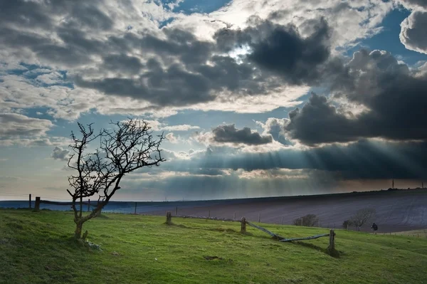 Splendida scena attraverso scarpata paesaggio di campagna con bea — Foto Stock