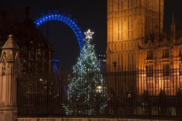 议会在伦敦与土地房子外面的圣诞树 — 图库照片