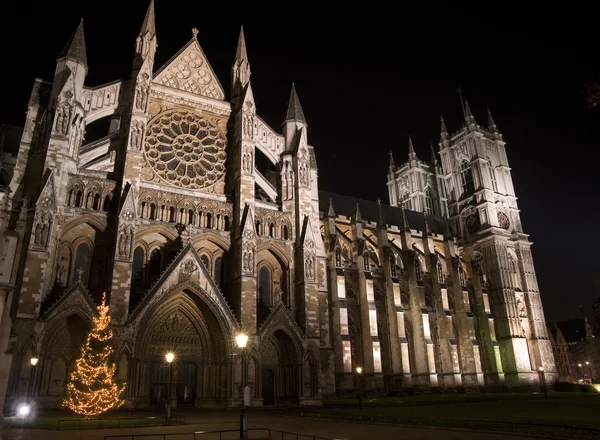 Christmas tree in front of Westminster Abbey in London England — Stock Photo, Image