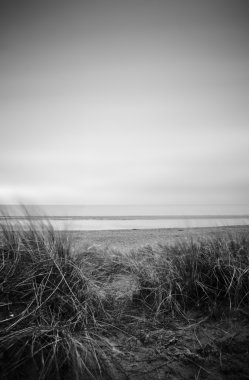 Grassy sand dunes during sunset in black and white clipart