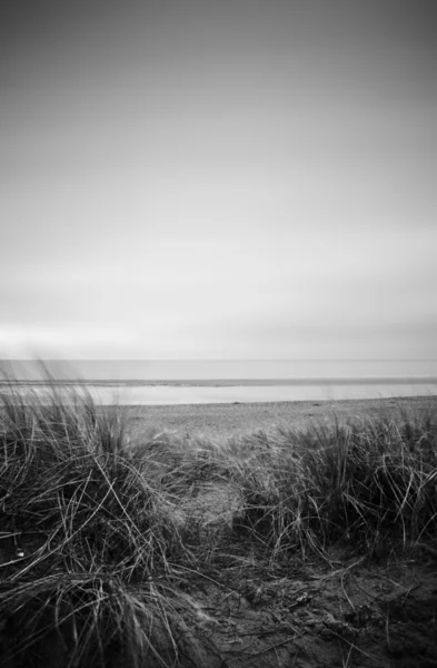 Siyah beyaz günbatımı sırasında çimenli kum tepeleri — Stok fotoğraf