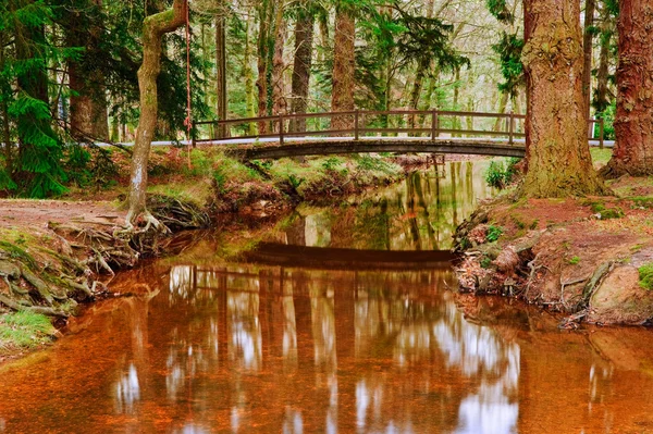 Міст над струмком у яскравій зимовій осінній лісовий пейзаж — стокове фото
