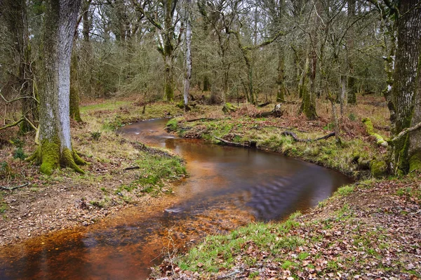 Flusso che scorre attraverso vibrante Autunno Inverno paesaggio foresta Autunno — Foto Stock