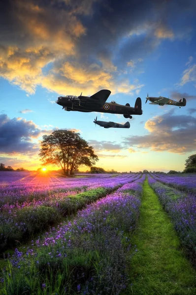 World War 2 RAF airplanes flying at sunset over vibrant lavender — Stock Photo, Image