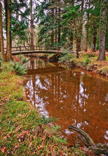 Bro över bäck i pulserande vintern hösten faller skogen landscap — Stockfoto