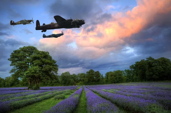 Pôr-do-sol atmosférico deslumbrante sobre campos de lavanda vibrantes em Summ — Fotografia de Stock