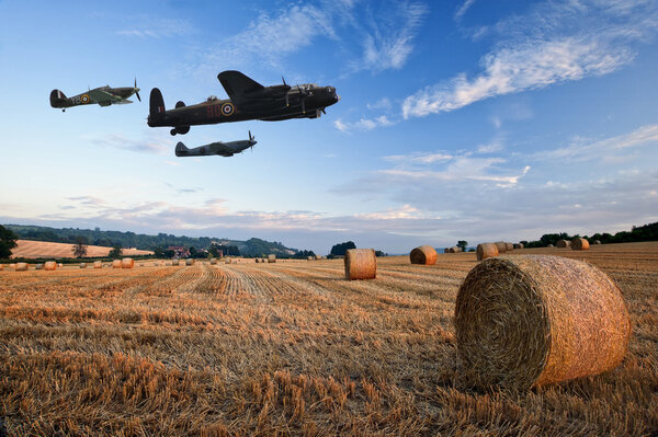 World War 2 RAF airplanes flying over lavender fields at sunset