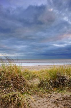 Grassy sand dunes during sunset clipart