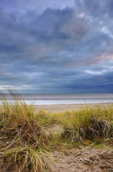 Травянистые песчаные дюны на закате — стоковое фото