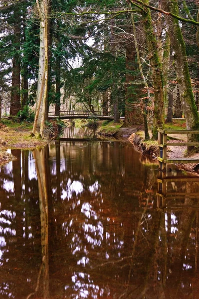 Мост через реку в яркой зимней осенью лесной ландшафт — стоковое фото