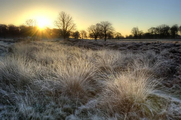Paisagem de inverno gelada através do campo em direção ao vibrante céu do nascer do sol — Fotografia de Stock