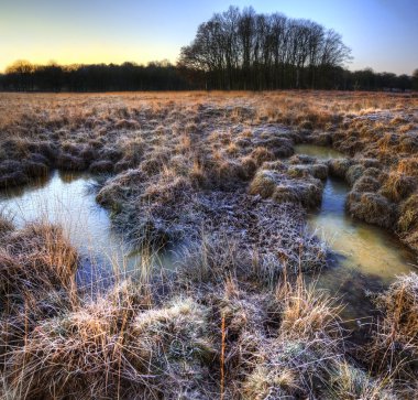 Beautiful frozen field Winter landscape with frosty grass clipart