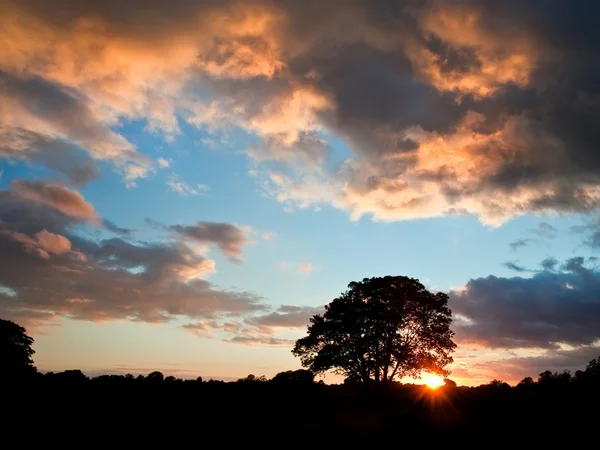 Splendida silhouette Sumer tramonto con sole scoppio — Foto Stock
