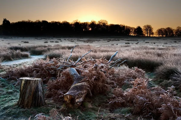 Fagyos téli táj mezőn élénk sunrise ég felé — Stock Fotó