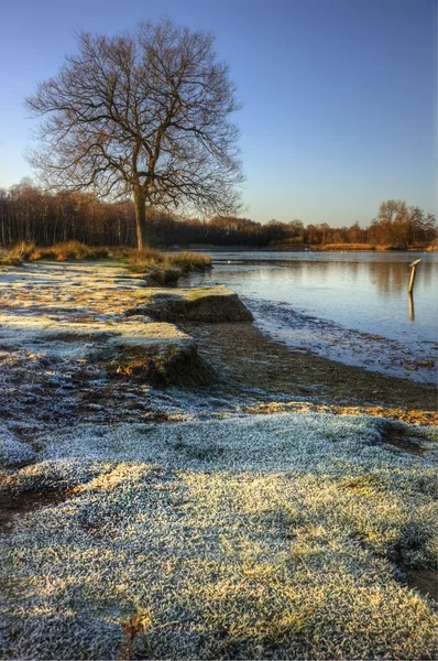 Zimní krajina zamrzlé jezero s zlaté slunce světlo a fr — Stock fotografie