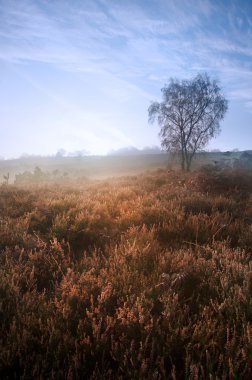 Winter sunrise over glowing vibrant countryside landscape clipart