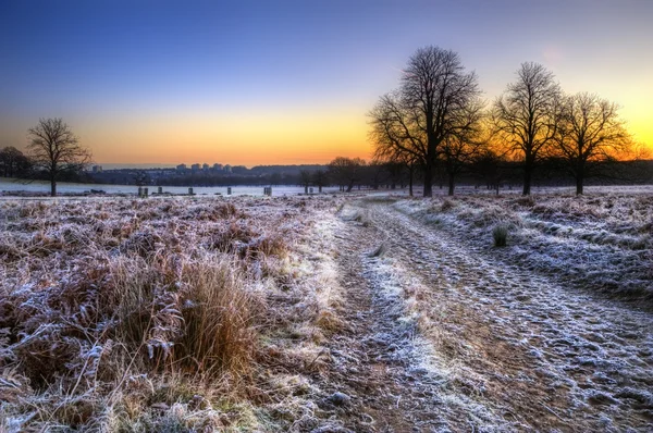 Frosty Paisaje de invierno a través del campo hacia el cielo vibrante amanecer —  Fotos de Stock