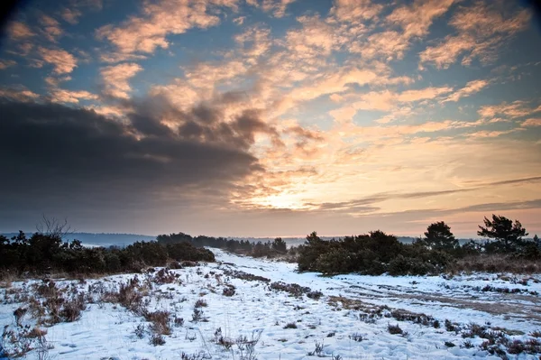 Vibrante paisaje de salida del sol invierno sobre el campo cubierto de nieve —  Fotos de Stock