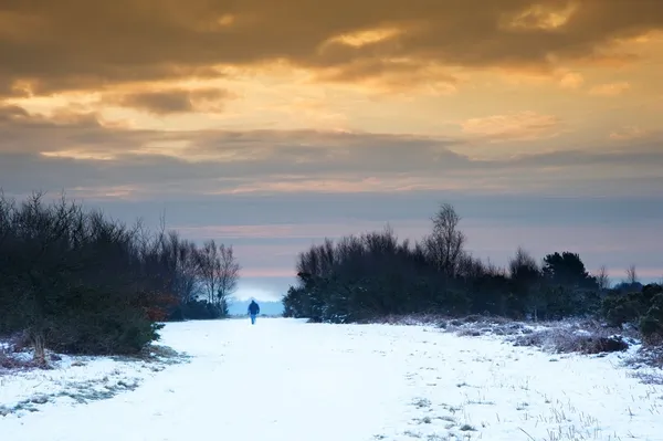 활기찬 눈 덮여 교외 겨울 일출 풍경 — 스톡 사진