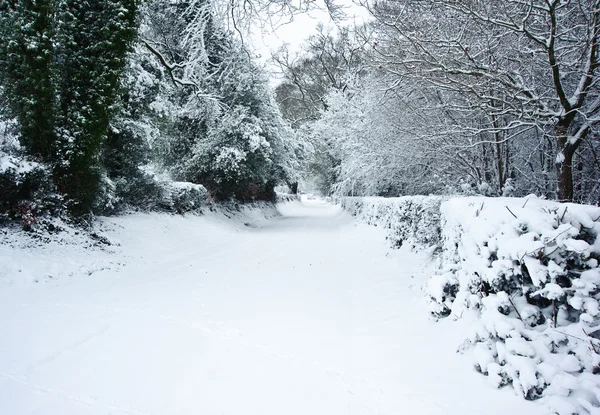Path through English rurual countryside in Winter with snow — Stock Photo, Image