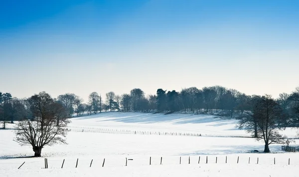 Зимний сельский пейзаж в ярко-голубой день неба — стоковое фото