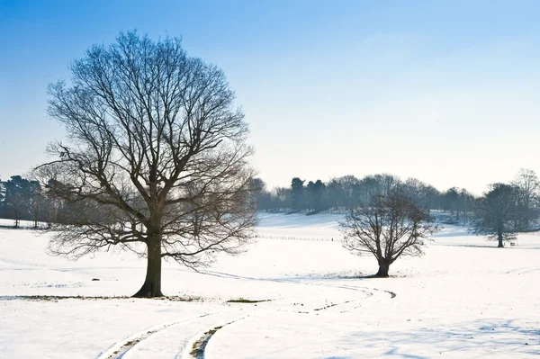Εξοχής τοπίο το χειμώνα την ημέρα φωτεινό μπλε ουρανό — Φωτογραφία Αρχείου