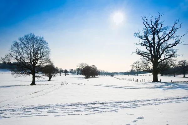 Зимовий сільський сільський пейзаж на яскраво-синьому небі день — стокове фото