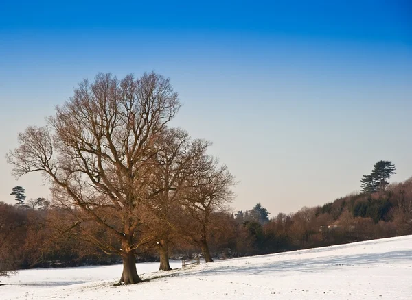 Musim dingin pedesaan lanskap pedesaan pada hari langit biru cerah — Stok Foto