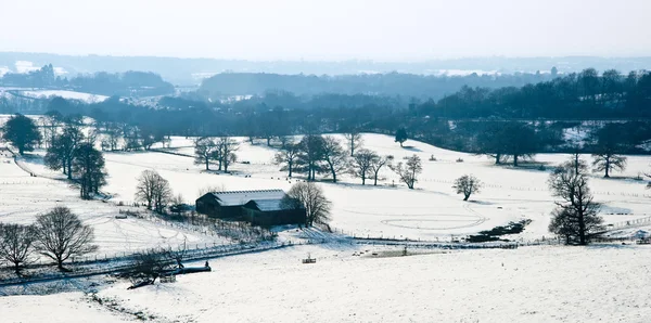 Talvi maaseudulla maisema kirkkaan sininen taivas päivä — kuvapankkivalokuva