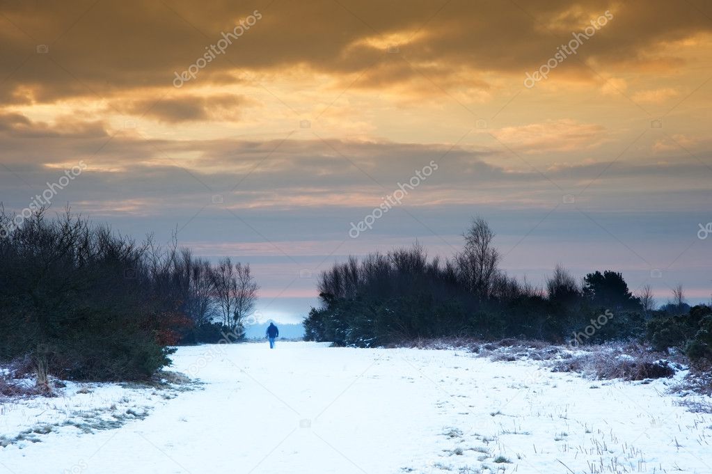 Vibrant Winter sunrise landscape over snow covered countryside
