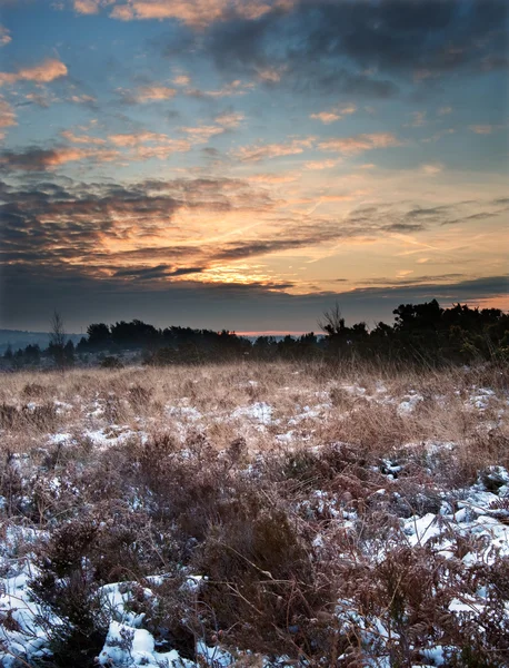Vibrante paisaje de salida del sol invierno sobre el campo cubierto de nieve — Foto de Stock