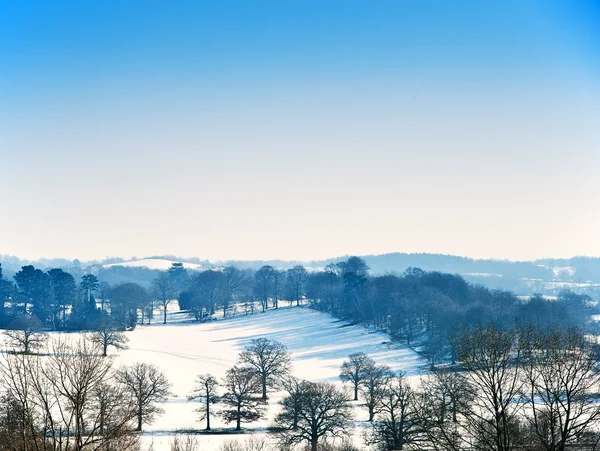 Paisaje rural de invierno en día de cielo azul brillante —  Fotos de Stock