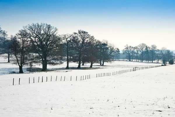 Vinter landsbygd landskap ljus blå himmel dag — Stockfoto