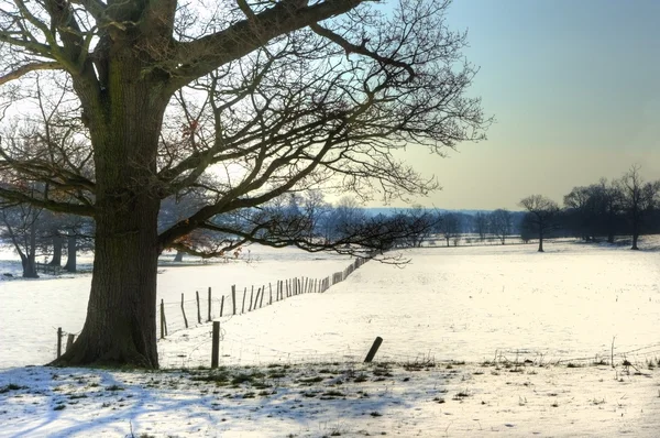Winter landschap van het platteland op heldere blauwe hemel dag — Stockfoto