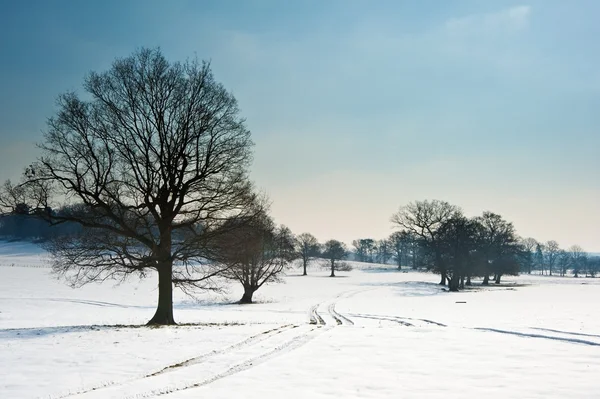 Inverno paisagem rural no céu azul brilhante dia — Fotografia de Stock