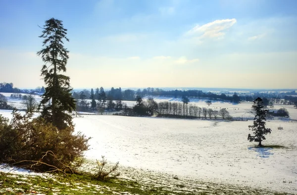 Winter rural countryside landscape on bright blue sky day