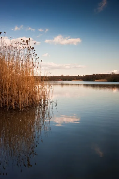 Belle image de paysage regardant à travers le lac calme avec le ciel reflètent — Photo