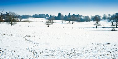 Winter rural countryside landscape on bright blue sky day clipart