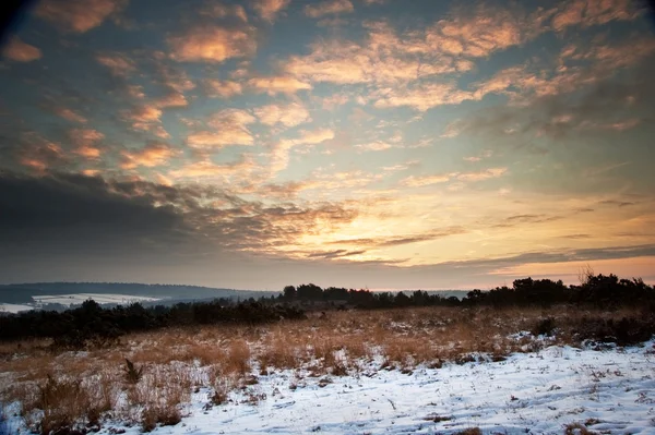 Vibrante paisaje de salida del sol invierno sobre el campo cubierto de nieve —  Fotos de Stock