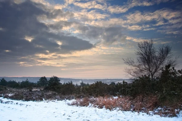 Pulserande vintern sunrise landskap över snötäckta landsbygden — Stockfoto