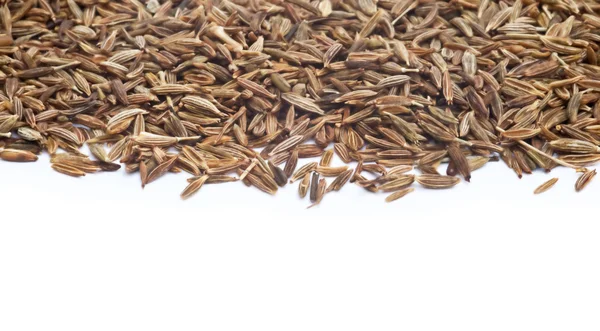 Cumin Seeds on white background — Stock Photo, Image