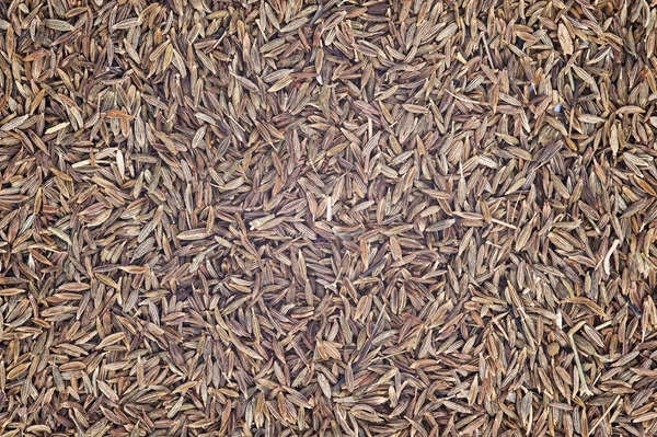 Cumin Seeds for use as background — Stock Photo, Image