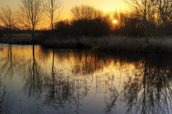 Splendido paesaggio di campagna vibrante alba invernale — Foto Stock