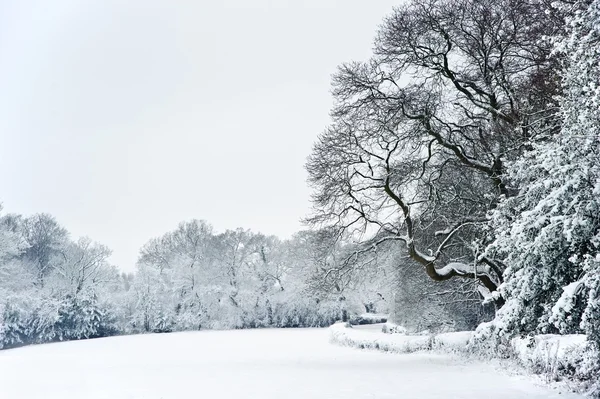 English rural countryside Winter snow landscape — Stock Photo, Image