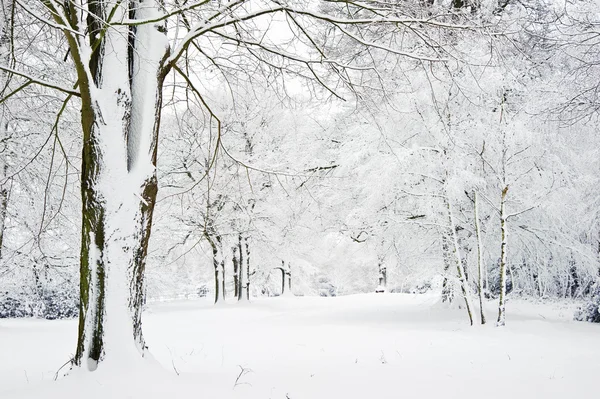 Camino a través del campo rurual Inglés en invierno con nieve — Foto de Stock