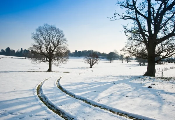 Зимовий сільський сільський пейзаж на яскраво-синьому небі день — стокове фото